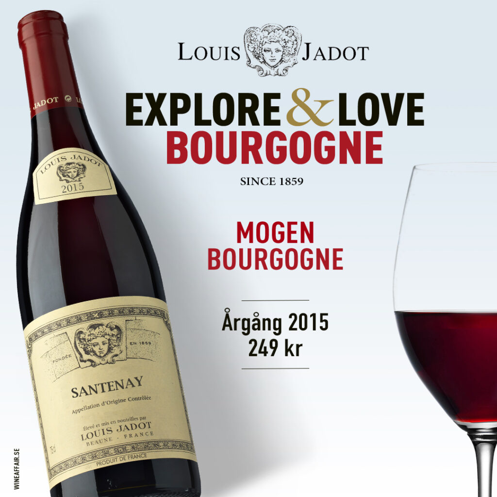 Louis Jadot Santenay