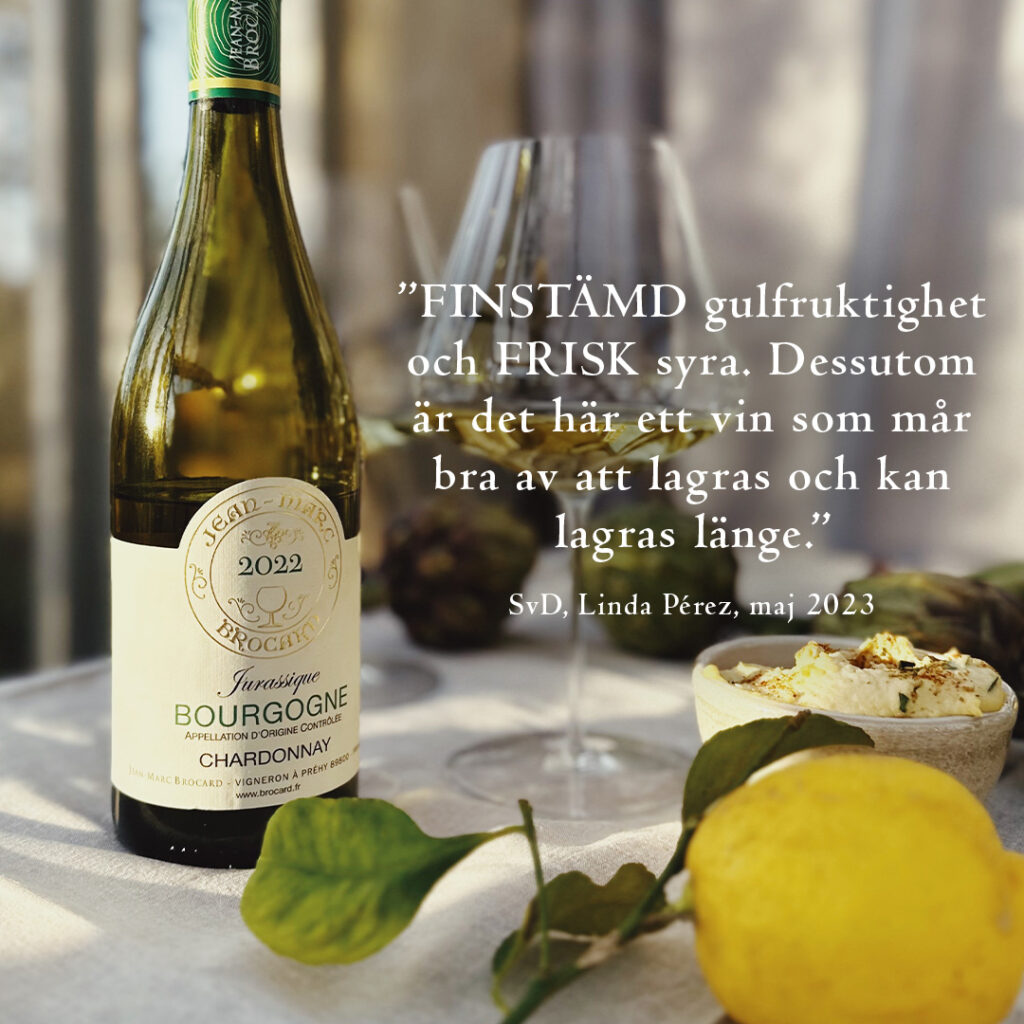 Bourgogne Blanc Jurassique – Di Vin